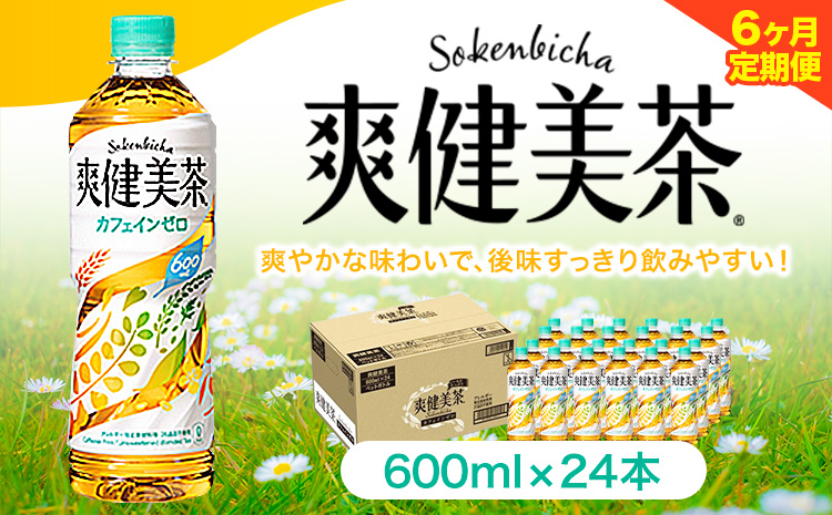 ★6ヶ月定期便★ 爽健美茶 600ml×24本 コカ・コーラボトラーズジャパン（株）《お申込み月翌月から出荷開始》和歌山県 紀の川市 お茶 茶 ハトムギ 玄米 月見草---wsk_coctei5_25_86500_mo6num1---