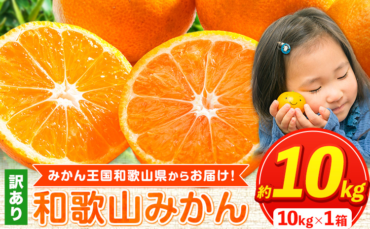 【訳あり/サイズ不選別】和歌山みかん約10kg和歌山県産《11月中旬から1月中旬に出荷予定(土日祝除く)》---wfn_wlocal90_11c1c_25_10000_10kg---｜たっぷりご家庭用みかん