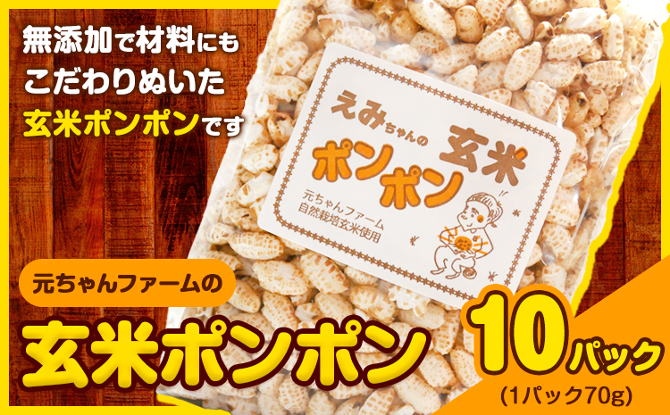 玄米ポンポン元ちゃんファーム《90日以内に出荷予定(土日祝除く)》玄米菓子---wsk_gncgmpp_90d_22_14000_300g---