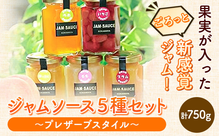 ジャムソース５種セット(プレザーブスタイル) JAわかやま 紀の里地域本部 《90日以内に出荷予定(土日祝除く)》---wsk_jakjam_90d_22_13000_5c---