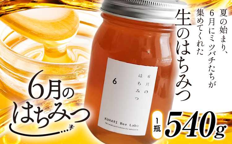6月のはちみつ540gKURARIくらりミツバチ研究室《90日以内に出荷予定(土日祝除く)》蜂蜜ハチミツ非加熱純正生ヨーグルト---wsk_krr2_90d_24_11000_1d---