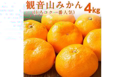 観音山みかん(とろコク一番人気)4kg有限会社柑香園《11月中旬-1月下旬頃出荷》フルーツ果物柑橘みかん---wsk_kcetkn_k111_22_21000_4kg---