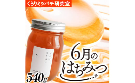 6月のはちみつ540gKURARIくらりミツバチ研究室《90日以内に出荷予定 