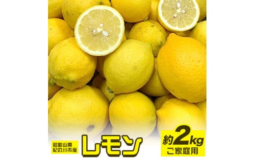 先行予約産レモン約2kgご家庭用サイズ混合前商店《2023年1月上旬-3月末頃出荷》産地直送レモン檸檬---wsk_ucsblk_ac13_22_7000_2kg---st-p