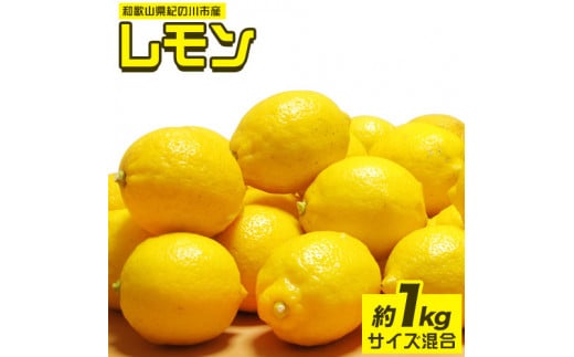 先行予約産レモン約1kgサイズ混合前商店《2023年1月上旬-3月末頃出荷》産地直送レモン檸檬---wsk_ucsblm_ac13_22_7000_1kg---st-p
