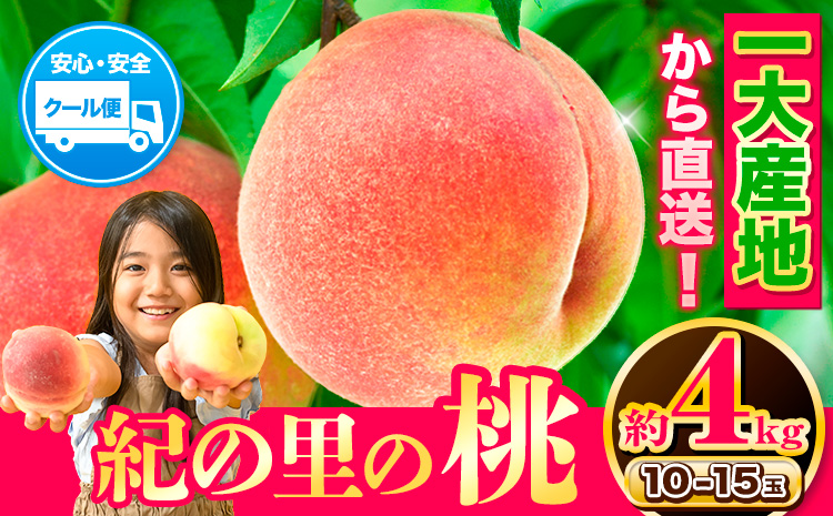 桃もも和歌山県産約4kg[2025年6月中旬-8月中旬頃出荷]紀の里の桃10-15玉入り旬の桃を厳選あかつきお取り寄せ予約---wfn_cwlocal10_6c8c_24_22000_4kg--