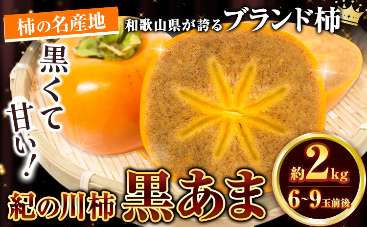 [先行予約]黒あま種なし約2kg(6〜9玉前後)4L〜2Lサイズ[2024年10旬-11月上旬頃出荷]高級かき柿カキ果物フルーツ---wfn_wlocal46_ad10_23_10000_2kg---