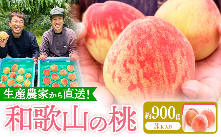 和歌山県産の桃 約900g (3玉入り) GREEN JUNCTION株式会社[2025年6月中旬-2025年8月末頃出荷]和歌山県 紀の川市 桃 果物 果実 フルーツ 自然栽培 送料無料---wsk_cgjt3_6c8m_24_8000_3t---