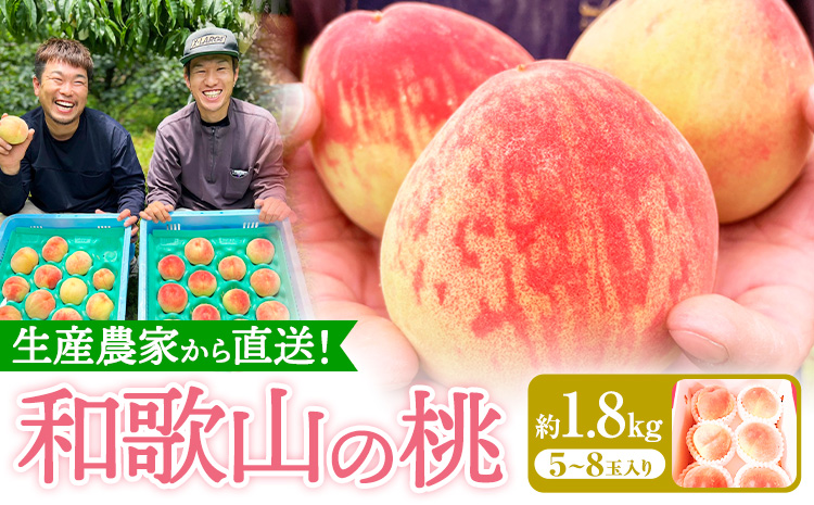 和歌山県産の桃 約1.8kg (5〜8玉入り) GREEN JUNCTION株式会社[2025年6月中旬-2025年8月末頃出荷]和歌山県 紀の川市 桃 果物 果実 フルーツ 自然栽培 送料無料---wsk_cgjt3_bc68_24_13000_1800g---