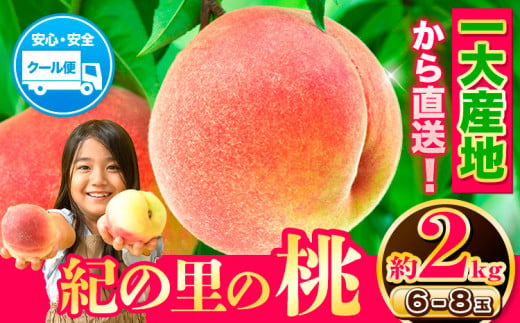 桃もも和歌山県産約2kg[2024年6月中旬-8月中旬頃出荷]紀の里の桃6〜8玉入り旬の桃を厳選あかつき果物フルーツお取り寄せ---wfn_cwlocal37_q68_23_12000_2kg---