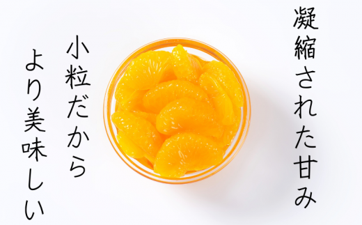  【先行予約】温州みかん 「小粒っこ」 10kg (極早生・早生・中生・晩稲)【2S～3Sサイズおまかせ】【2025年10月中旬～2026年1月下旬までに順次発送】＜味好農園＞/温州 みかん 小玉 蜜柑 柑橘 みかん 極早生 早生 中生 晩稲 小粒 果物 フルーツ 【agy006A】