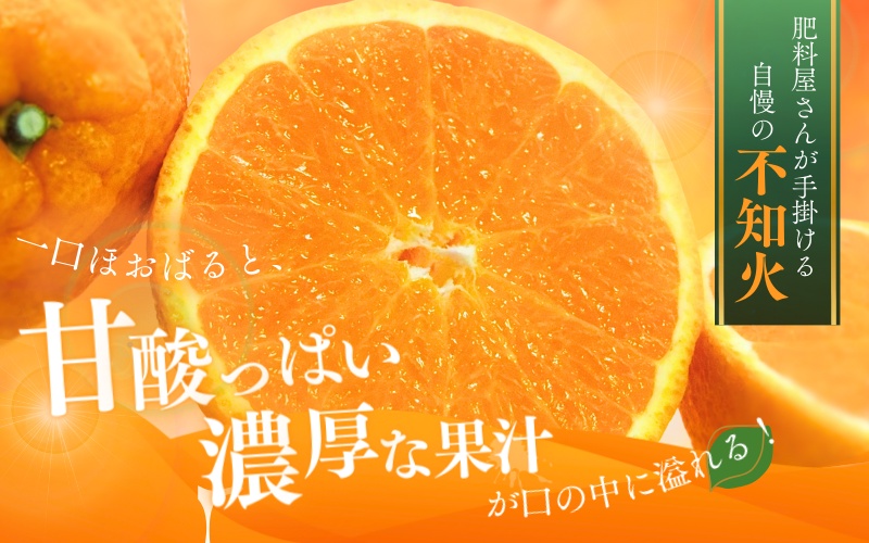 【先行予約】秀品 ハウス不知火 2kg※箱込み【L～4Lのサイズおまかせ】【2026年1月下旬から2026年２月下旬頃に順次発送】＜味好農園＞/不知火 デコポン 蜜柑 みかん 柑橘 果物 フルーツ 【agy039】