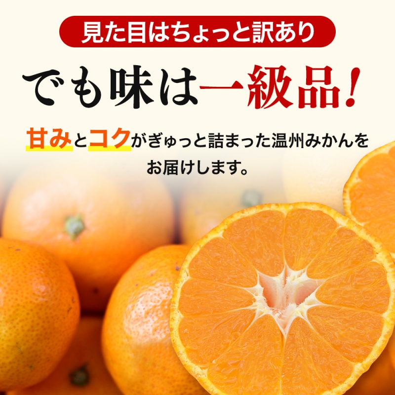  【先行予約】訳あり品 温州みかん 「おてんば娘」5kg(早生・中生・晩稲)【S～2Lサイズおまかせ】【2025年10月中旬～2026年1月中旬頃までに順次発送】＜味好農園＞/みかん 蜜柑 柑橘 温州みかん 訳あり 果物 フルーツ 甘い 果汁溢れる【agy017A】