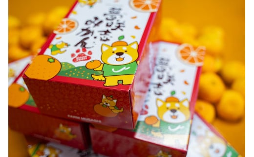 [和歌山県産] 旬をお届け！ 季節の「 温州 みかん 」 1kg ※箱込み※贈答用 秀品 (極早生・早生・中生・晩稲)【M~2Lサイズおまかせ】【2025年10月中旬～2026年1月下旬までに順次発送】＜味好農園＞/ 蜜柑 柑橘 果物 フルーツ みかん 早生 極早生 中生 晩稲 【agy036】