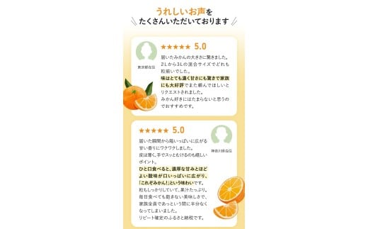 ボリューム満点！大玉  温州みかん 2kg  ※秀優混合【2L～3Lサイズ】【2025年12月から2026年２月下旬頃に順次発送】＜味好農園＞/ 温州 蜜柑 みかん 柑橘 果物 フルーツ ミカン 甘い 美味しい【agy042】