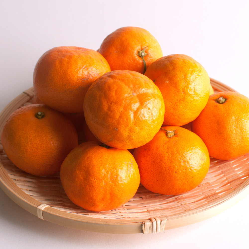 【先行予約】プレミアム有田みかん2.5kg+250g（傷み補償分）11月より発送(完熟)/ みかん ミカン 有田みかん 柑橘 フルーツ 果物 和歌山 オレンジ【ikd005D】 