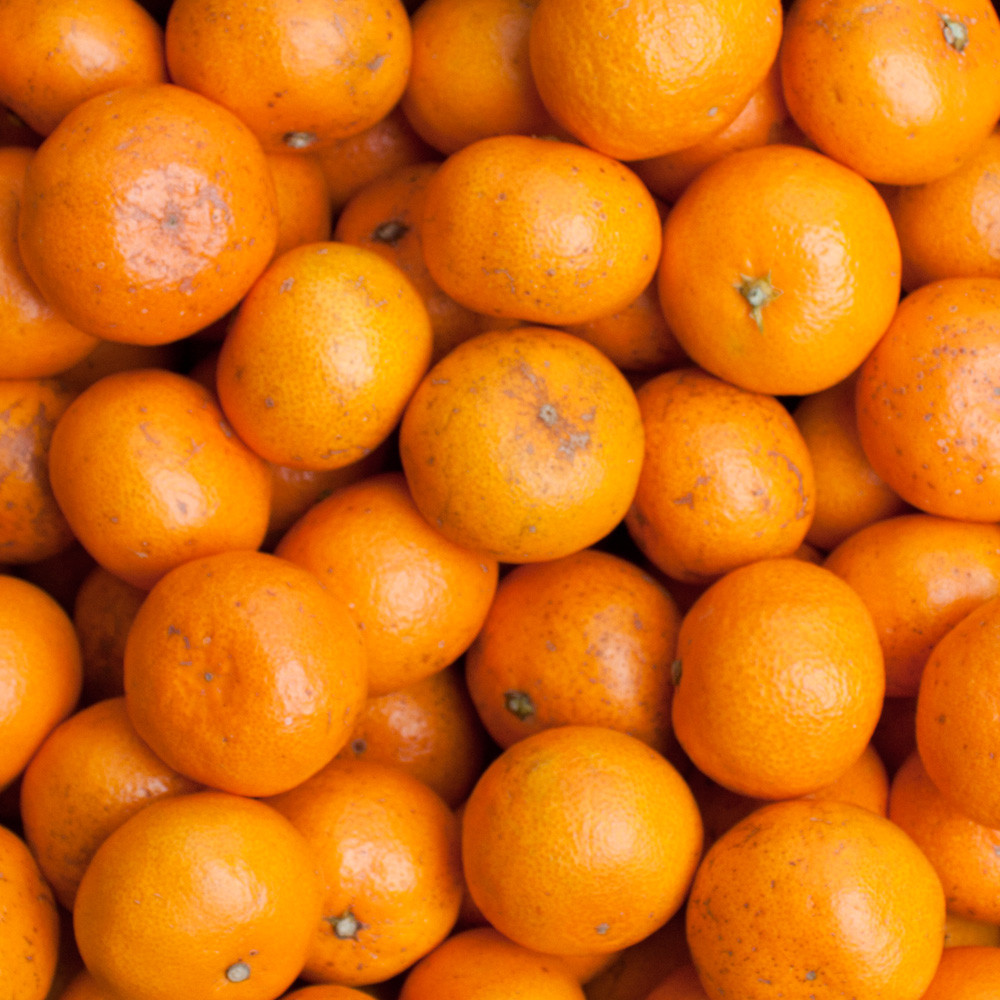 【先行予約】家庭用小さな有田みかん小さな(S以下)2.5kg+250g 10月より発送/ みかん ミカン 有田みかん 柑橘 フルーツ 果物 和歌山 オレンジ【ikd153B】 