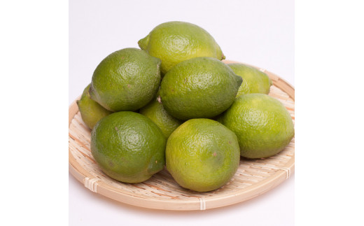 レモン5kg+250g（傷み補償分）【和歌山有田産】【防腐剤・WAX不使用、安心の国産レモン】※北海道・沖縄・離島への配送不可 /レモン れもん 柑橘 フルーツ 果物 果実 【ikd180A】