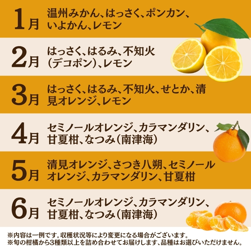 ＜1月より発送＞家庭用 柑橘詰合せ5kg+250g（傷み補償分）【訳あり・わけあり】【有田の春みかん詰め合わせ・フルーツ詰め合せ・オレンジつめあわせ】【光センサー選別】【ikd208A】
