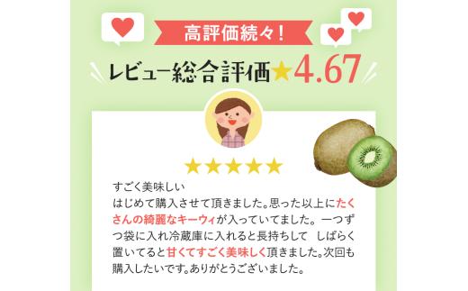 ＜11月より発送＞わけあり キウイ7.5kg+250g（傷み補償分）【わけあり・訳あり・扁平果】 / 和歌山  フルーツ 果物 くだもの 旬 キウイフルーツ キウイ【ikd715】