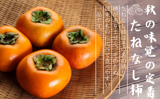 【先行予約】【JAながみね】Lサイズ たねなし柿 約7.5kg 【2024年9月下旬～10月下旬に順次発送致します。】  種なし 種無し タネなし 柿 かき カキ フルーツ 果物 人気 旬 秋の味覚【jan001】