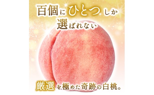 【2026年発送分先行予約】数量限定！【モモ】川中島白桃 約2kg 6個入  100個に1個の特選最上級秀品！ こだわり農家厳選！【2026年7月末から8月末順次発送】/ 和歌山県 かつらぎ町 もも 桃 高級 贅沢 特選