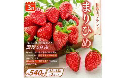 【フルーツ定期便・全3回】品質に自信あり！くしがきの里から直送　桃・シャインマスカット・まりひめを季節ごとにお届け! / 定期便 桃 もも シャインマスカット マスカット いちご イチゴ 苺 果物 フルーツ 3回【kgr037】