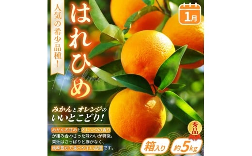 【フルーツ定期便・全6回】品質に自信あり！くしがきの里から直送　厳選した果物を最高のタイミングでお届け♪ / 定期便 桃 もも みかん 柑橘 シャインマスカット マスカット いちご 不知火 はれひめ イチゴ 苺 果物 フルーツ 6回【kgr039】