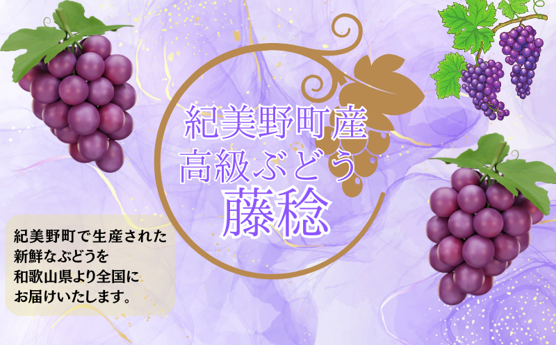【8月中旬もしくは下旬～順次発送】ジューシーな高級ぶどう 約2kg(3~5房)/ぶどう 藤稔 黒ブドウ 果物 くだもの フルーツ 有機 【kmf004】