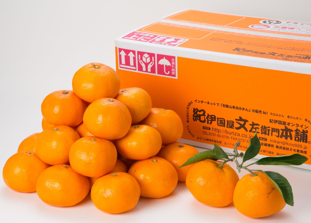 【予約受付】ブランド有田みかん　秀品5キロ サイズお任せ　※2026年10月中旬～2027年1月中旬頃に順次発送予定（お届け日指定不可）　紀伊国屋文左衛門本舗/みかん蜜柑柑橘有田みかん果物フルーツ  【kmtb140C】