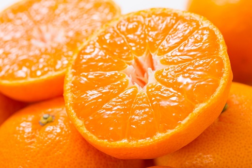  田村みかん 特選ギフト品 10kg【Lサイズ】赤秀 / 紀州和歌山有田郡湯浅町田村地区産　紀伊国屋文左衛門本舗 / 田村みかん みかん 蜜柑 柑橘 果物 フルーツ  ◆2025年11月下旬～2026年1月中旬頃に発送(お届け日指定不可)【kmtb302B】