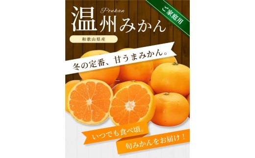 【ご家庭用】手選別 温州みかん 約1.5kg 和歌山県産 2S~2Lサイズ混合※2025年11月上旬～2026年2月中旬ごろに順次発送【mrmt006】