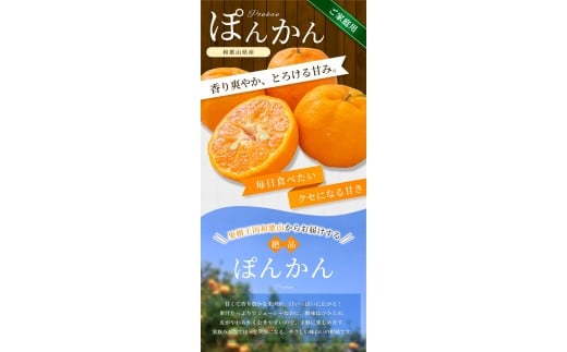 【ご家庭用】手選別 ぽんかん 約1.5kg 和歌山県産 2S~2Lサイズ混合※2026年1月上旬～2月上旬頃に順次発送【mrmt011】