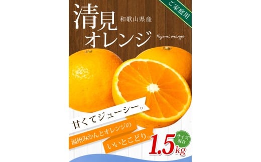 【ご家庭用】手選別 清見オレンジ 約1.5kg 和歌山県産 2S~2Lサイズ混合※2026年2月上旬～5月中旬頃に順次発送【mrmt021A】