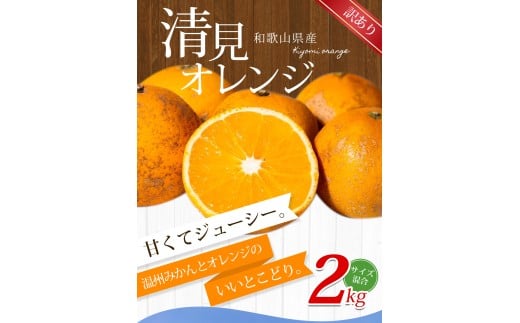 【訳あり】手選別 清見オレンジ 約2kg 和歌山県産 2S~2Lサイズ混合※2026年2月上旬～5月中旬頃に順次発送【mrmt023A】
