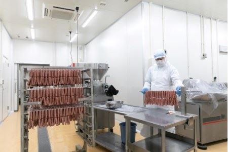 わかやまジビエソーセージ　猪・鹿１０パックセット【mtf104】