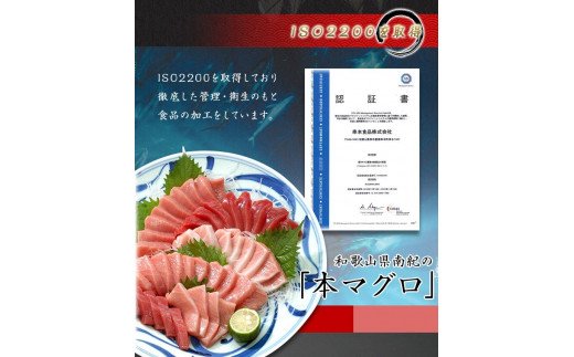 本マグロ（養殖）トロ＆赤身セット 3kg 【１ヶ月以内に順次発送)】/ 高級 クロマグロ  中トロ 中とろ まぐろ マグロ 鮪 刺身 赤身 柵 じゃばらまぐろ 本マグロ 本鮪【nks112B】