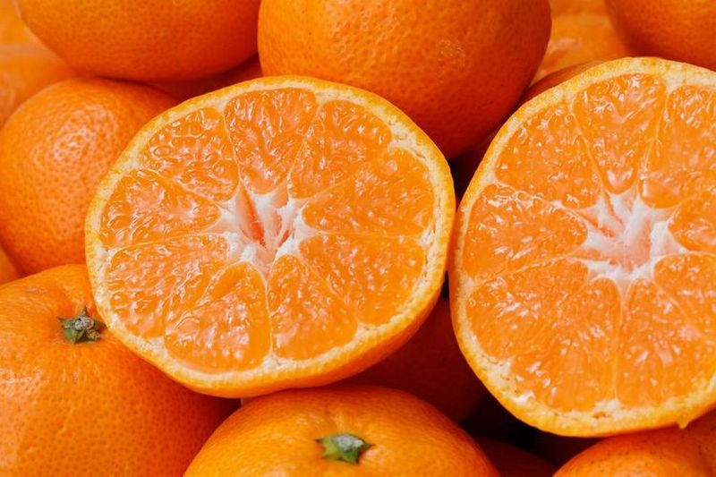 【2025年12月発送予約分】【家庭用】こだわりの有田みかん 約5kg＋250g(傷み補償分) ※サイズ混合 有機質肥料100% ※北海道・沖縄・離島配送不可  ＼光センサー選別 ! ／ 【農家直送】/みかん ミカン 有田みかん 温州みかん 柑橘 有田 和歌山 産地直送【nuk160-12A】