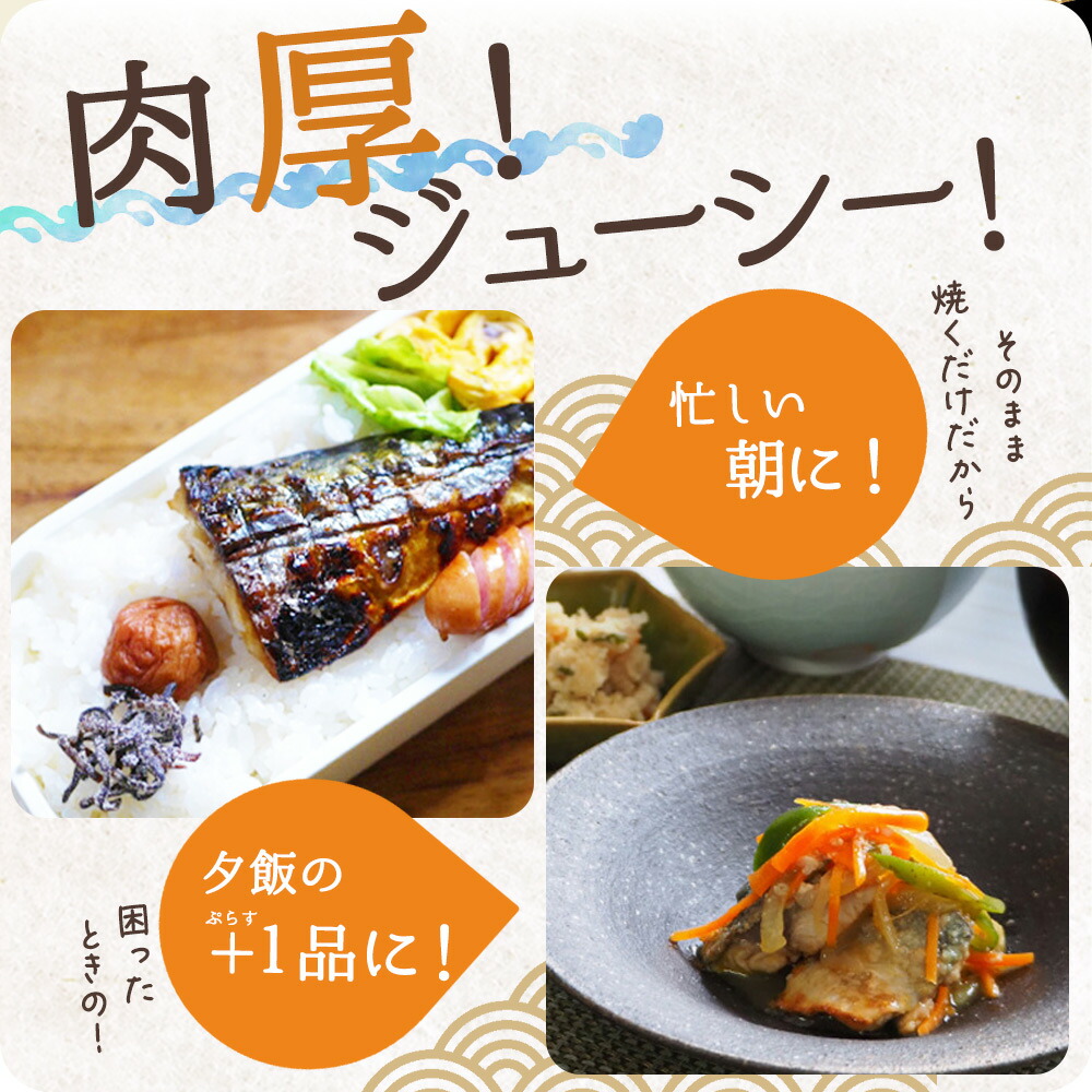 【全3回】大容量！ ご家庭用 塩さばフィレをたっぷりお届け定期便 / さば サバ 鯖 フィレ 切り身 切身 魚 海鮮 焼き魚 おかず 定期便【tkb354】