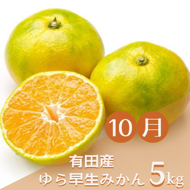 【3か月定期便】みかんの名産地和歌山発！秋のみかん定期便♪ゆら早生みかん・下津みかん・有田みかん【tkb362】