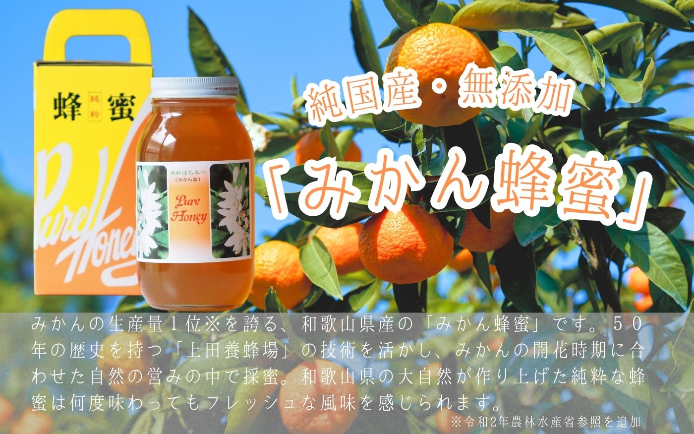 紀美野町産 純粋みかん蜂蜜1.2kg /蜂蜜 みかん みかん蜜蜂 和歌山 はちみつ【twn001-1】