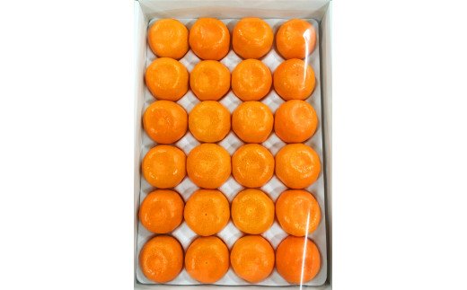 【先行予約】 赤秀品 紀州和歌山ハウスみかん 2.5kg【予約】※2026年6月下旬頃〜7月下旬頃に順次発送予定(お届け日指定不可) / みかん 蜜柑 フルーツ 果物 くだもの 【uot735】