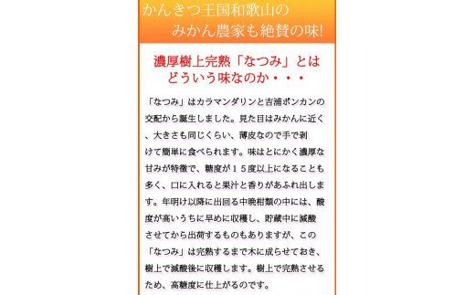  初夏のみかん　なつみ3kg　※2026年4月中旬頃〜2026年4月下旬頃順次発送（お届け日指定不可）/ みかん 蜜柑 フルーツ 果物 くだもの 【uot753A】