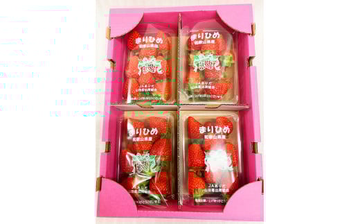  紀州和歌山ブランドいちご「まりひめ」約250g×4P　※2026年1月上旬頃～2026年3月上旬頃に順次発送予定（お届け日指定不可）/ いちご イチゴ 苺 果物 フルーツ まりひめ 【uot758A】