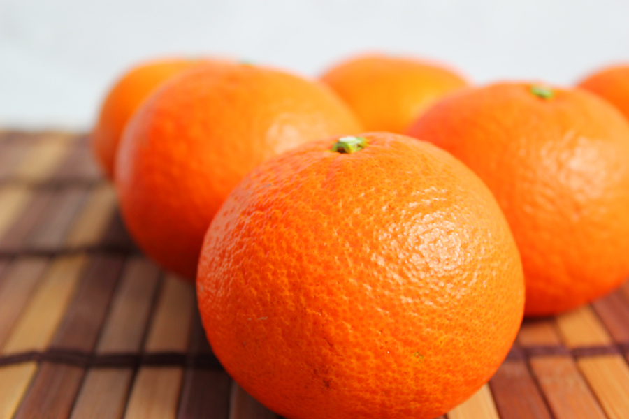  津之輝(つのかがやき)　5kg【予約】　※2026年2月上旬頃～2026年2月下旬頃に順次発送予定(お届け日指定不可) / みかん 蜜柑 フルーツ 果物 くだもの 【uot761】