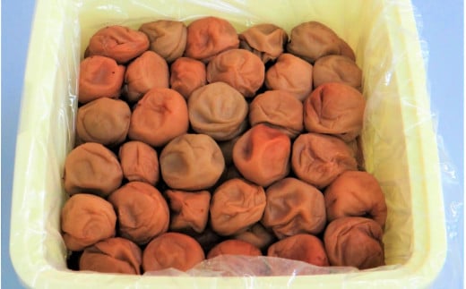 わけあり紀州南高梅はちみつ漬け梅干2.6kg / 梅干し 梅干 梅  訳あり【ypl600-r-2d6】