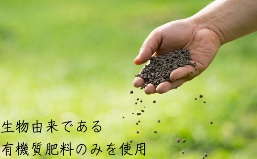  【先行予約】温州みかん 「小粒っこ」 10kg (極早生・早生・中生・晩稲)【2S～3Sサイズおまかせ】【2025年10月中旬～2026年1月下旬までに順次発送】＜味好農園＞/温州 みかん 小玉 蜜柑 柑橘 みかん 極早生 早生 中生 晩稲 小粒 果物 フルーツ 【agy006A】