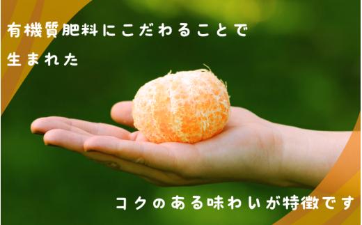 秀品 ポンカン 2kg ※箱込み 【S~2Lのサイズおまかせ】【2026年1月下旬から2月中旬頃に順次発送】＜味好農園＞/ ぽんかん 蜜柑 みかん 柑橘 果物 フルーツ 【agy027】