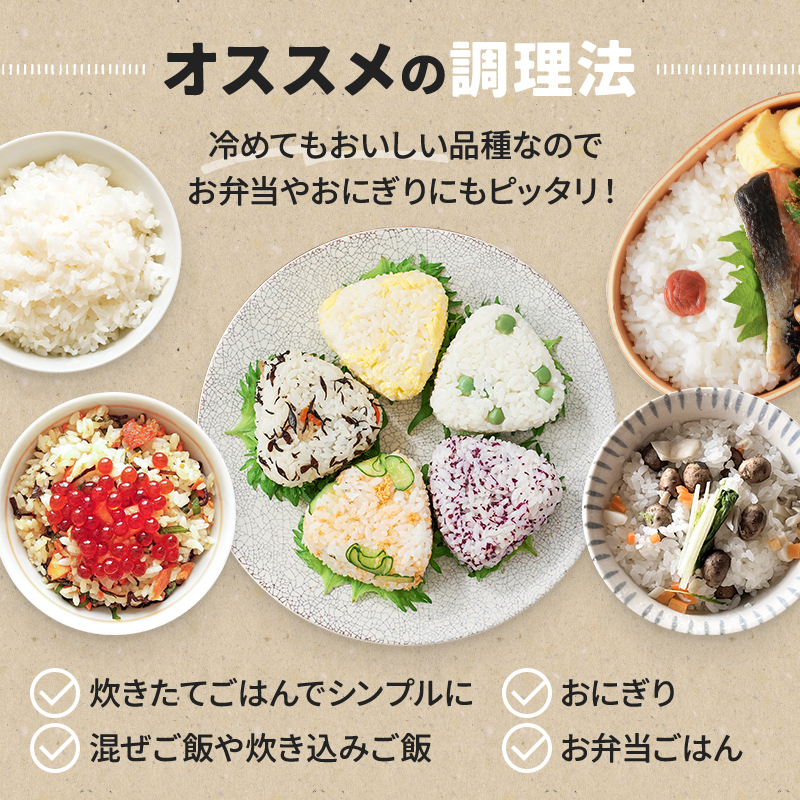 【数量限定】新米 和歌山県産 ひのひかり 5kg(2025年産) / 白米 新米 コメ 産地直送 米 こめ ご飯 ごはん ひのひかり おにぎり お弁当 【agy040】