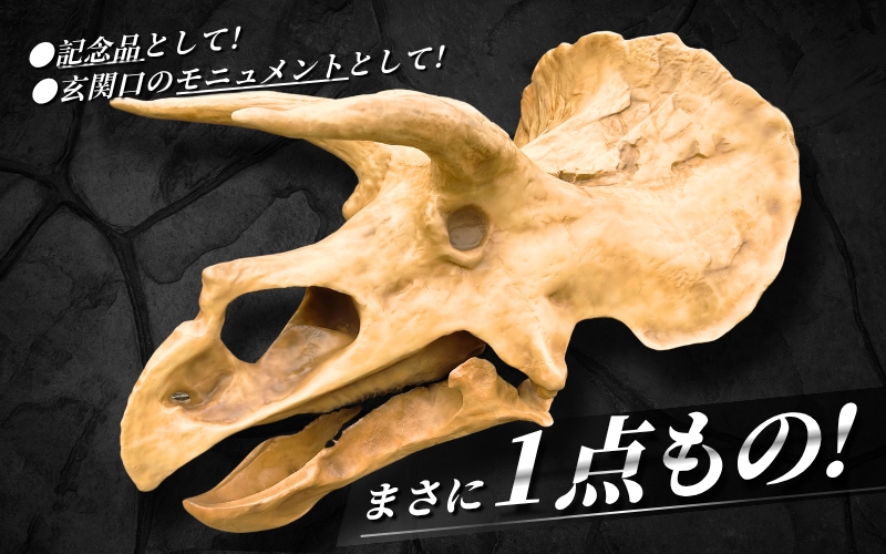 【トリケラトプス】 原寸大 頭骨レプリカ / レプリカ 標本 コレクション プラモデル 実物大 恐竜 骨格レプリカ フィギュア インテリア 展示 模型 博物館 骨格 頭蓋骨 オブジェ 3Dプリント 【anf007】
